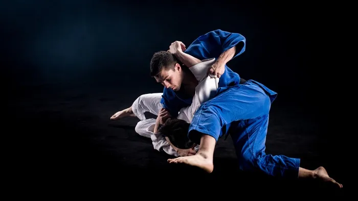 Adults BJJ